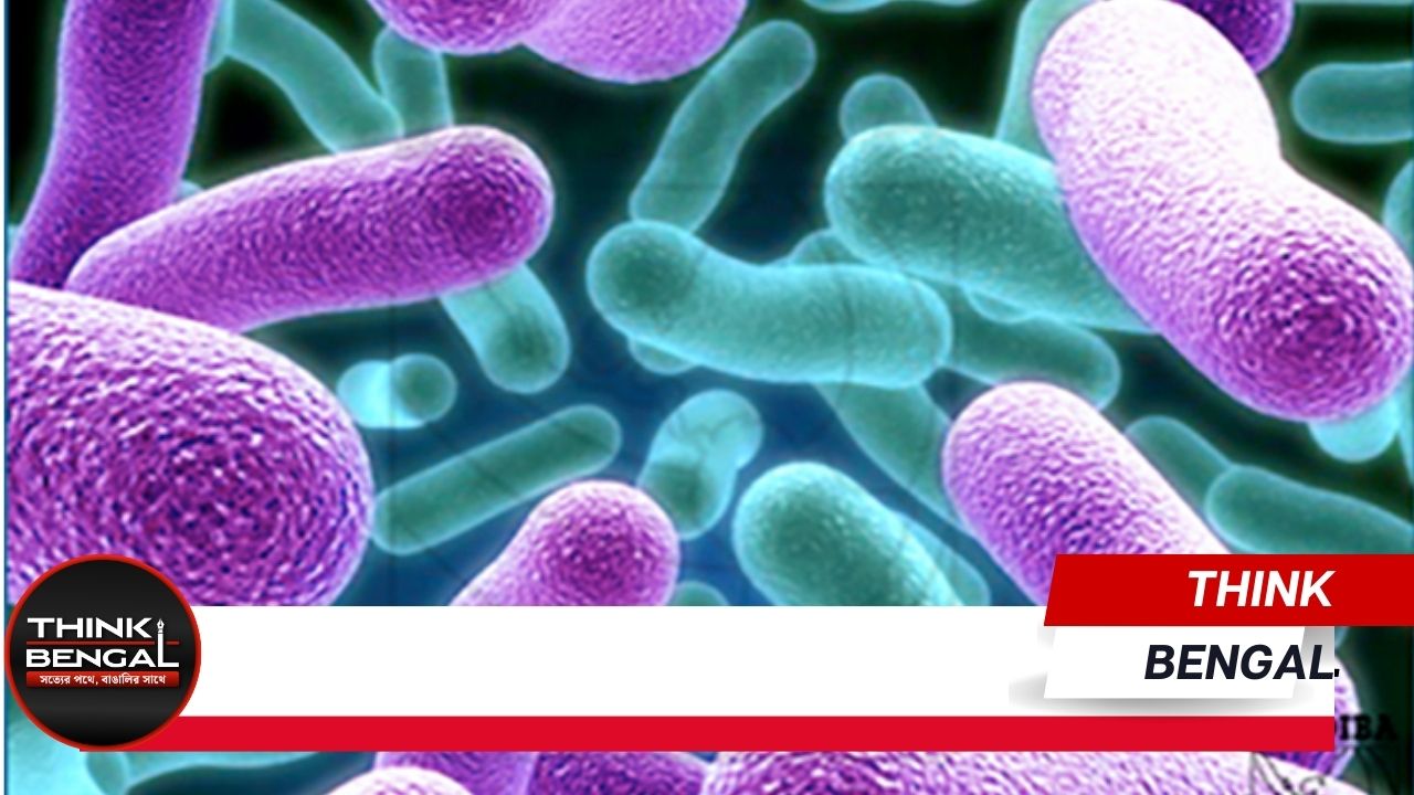 Ways to prevent TB disease