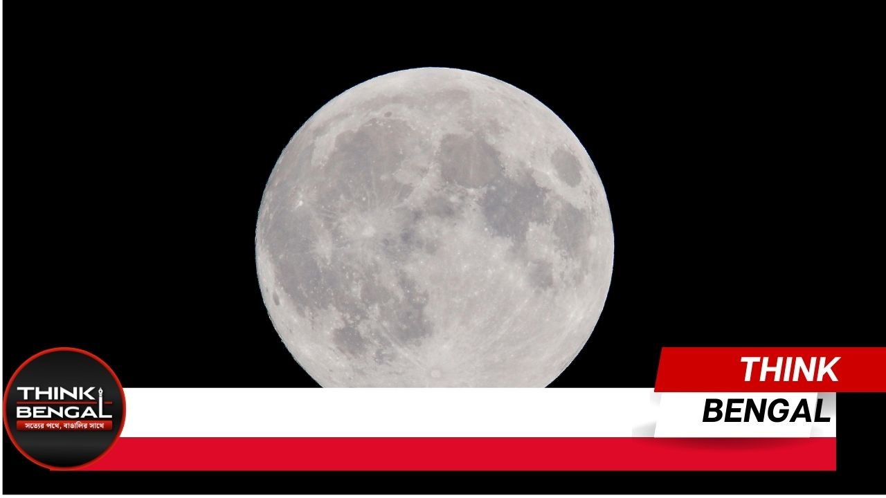 Frozen specimens of endangered species will be stored on the moon