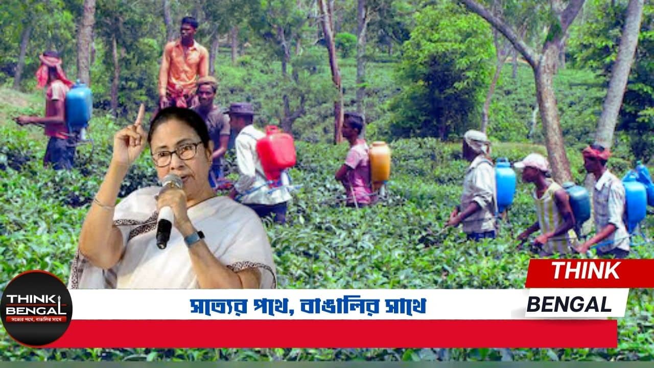 Hills Shut Down Over Bonus Demand