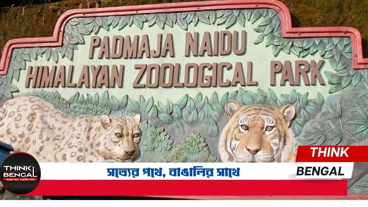 Padmaja Naidu Himalayan Zoological Park