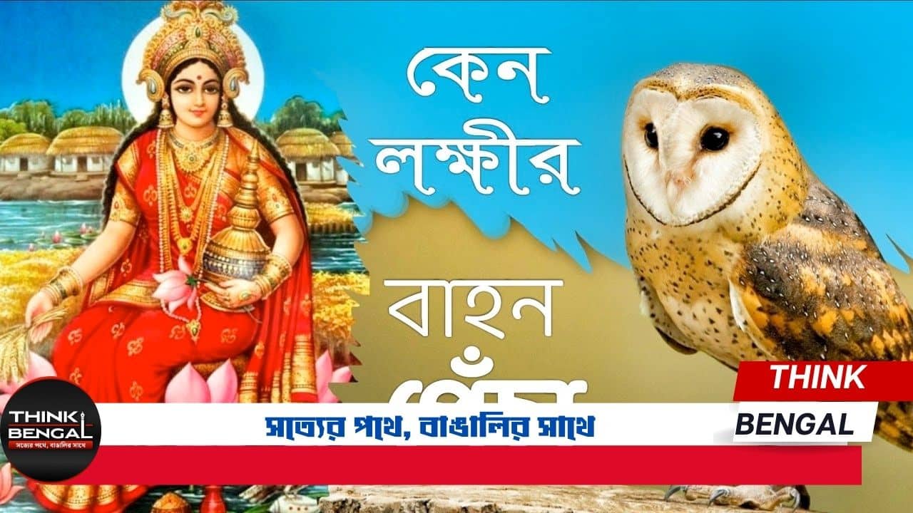 Why is the owl the vehicle of Lakshmi