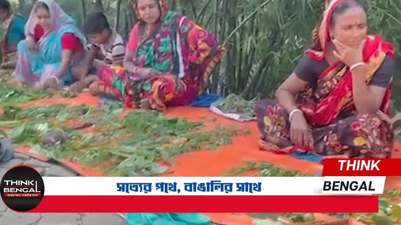 সাতক্ষীরায় 'খোটা শাকের মেলা'