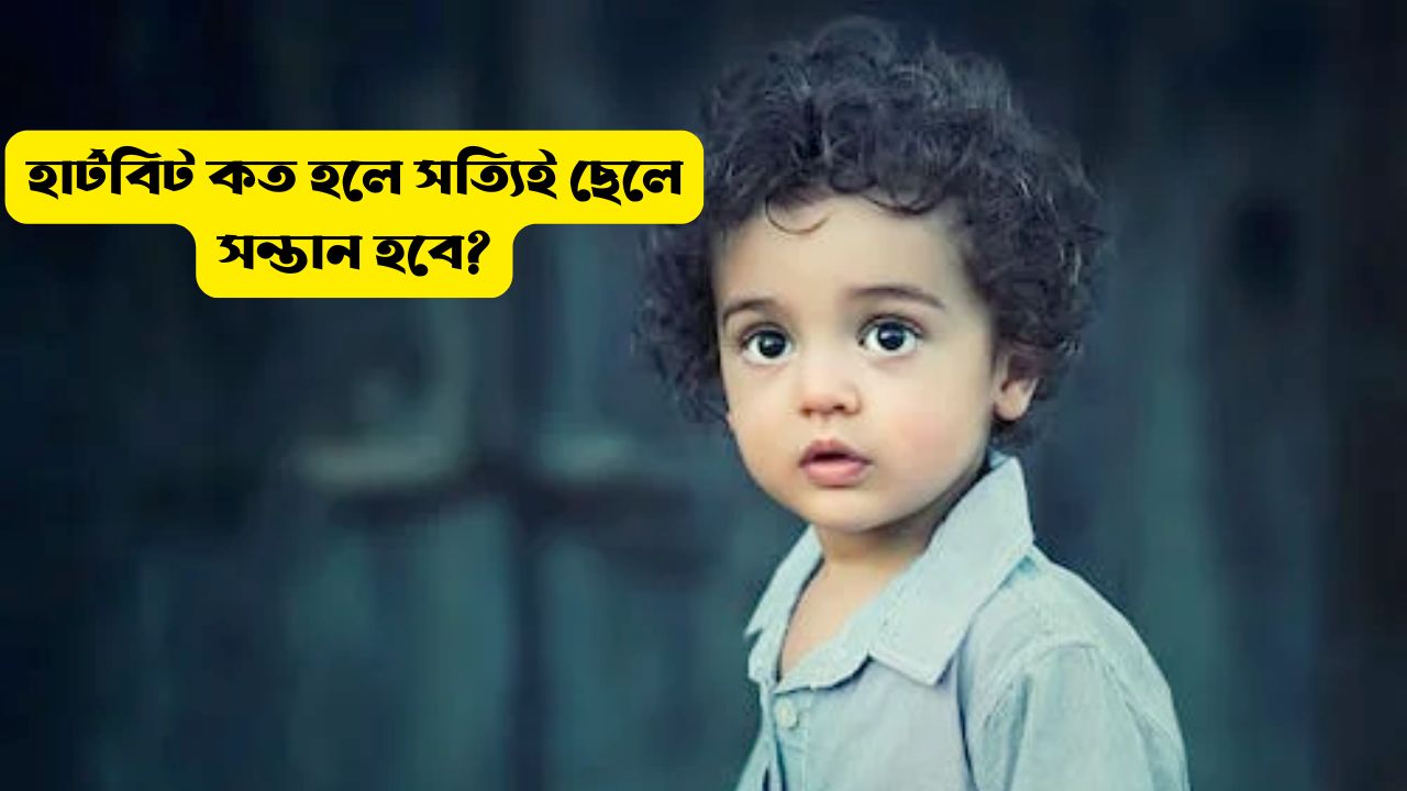 fetal heartbeat boy or girl