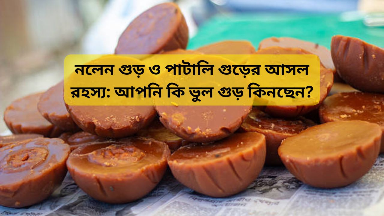 Nolen Gur vs Patali Gur