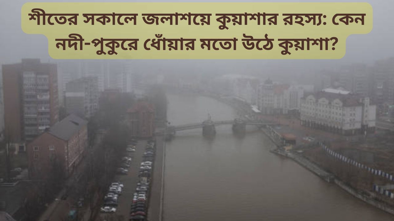 শীতকালে জলাশয়ের উপর কুয়াশা বেশি দেখা যায় কেন