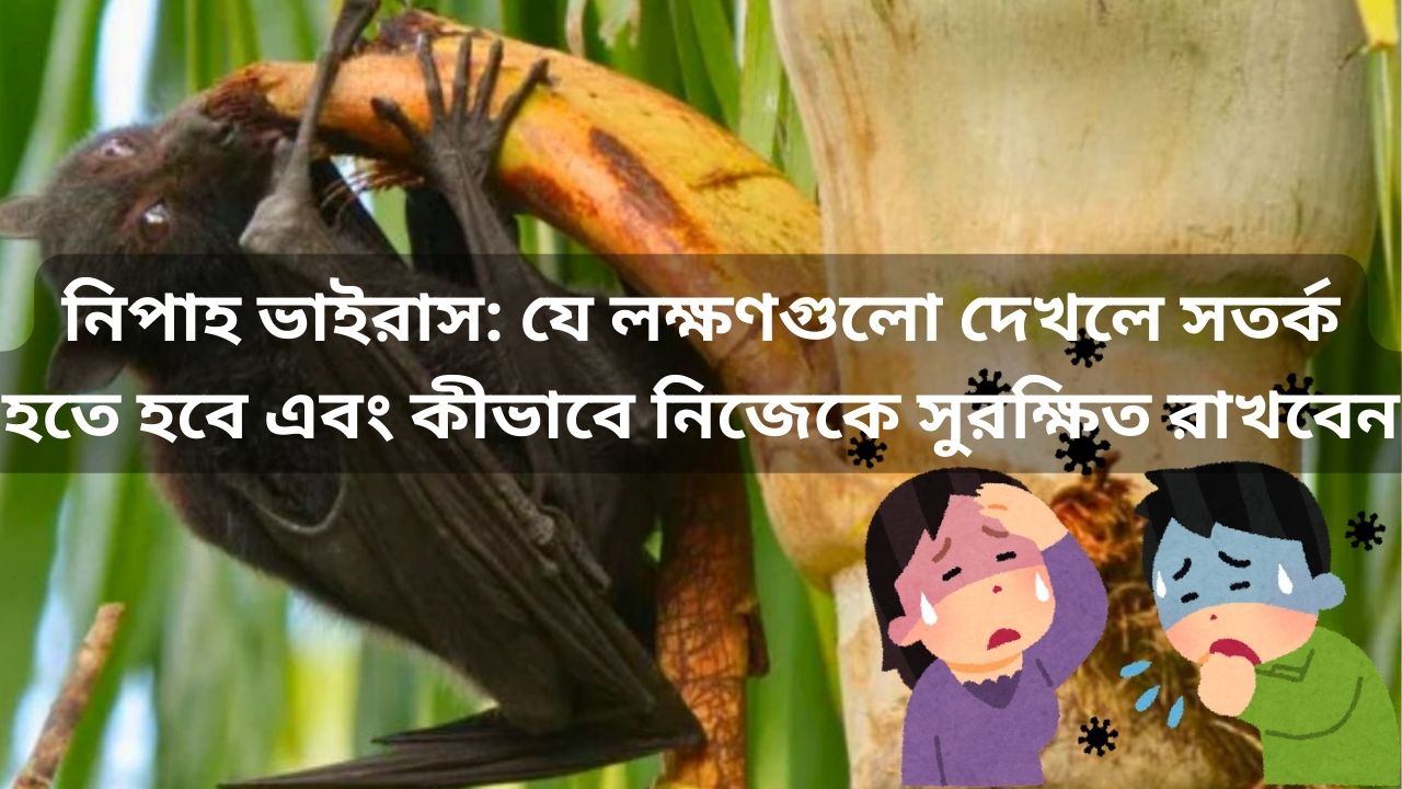 Nipah Virus Symptoms